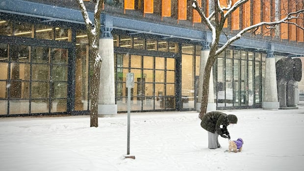 Frigid temperatures, 'significant' snow expected this weekend in the GTA: Environment Canada