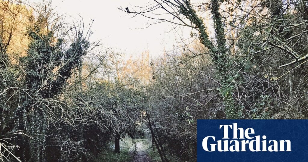 Country diary: Mammoth and bear, replaced by mattress and beer can | Rural affairs Country diary: Mammoth and bear, replaced by mattress and beer can | Rural affairs