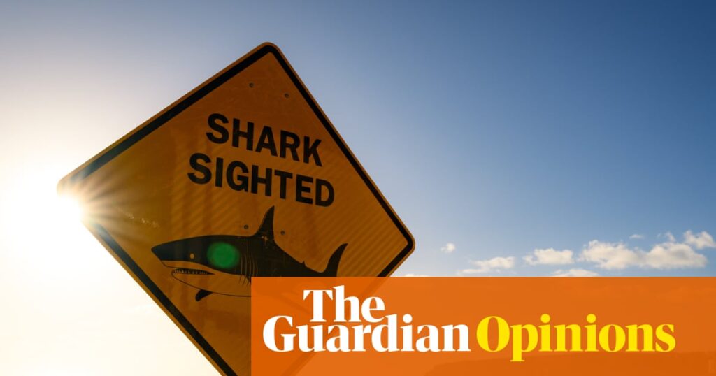 The ‘good life’ in Australia is about access to the beach. This week’s shark attacks feel like the natural world is striking back | Brigid Delaney