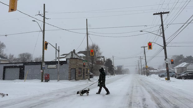 Mayor urges Hamiltonians to stay off roads, check in on loved ones as major winter storm arrives