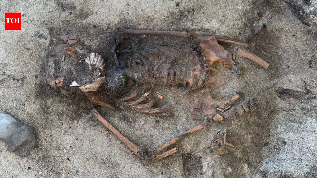 Sweden unearths a 5,000-year-old dog buried with a dagger, hints at elite treatment | World News