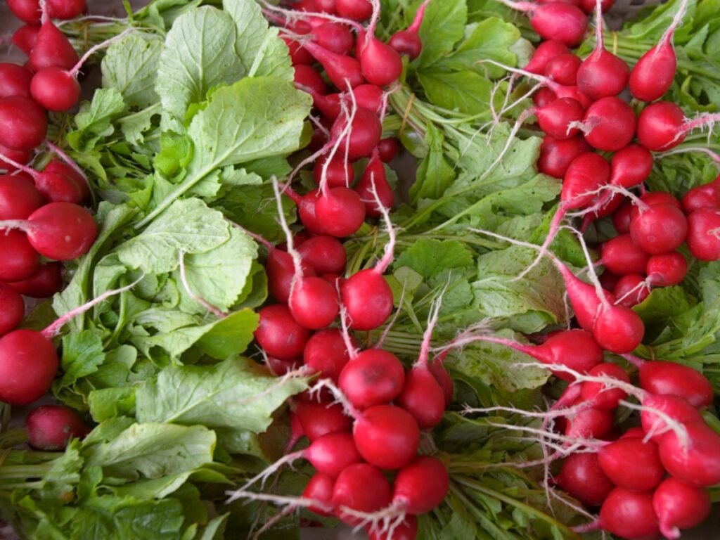 Pioneering Swiss organic wholesaler goes bust