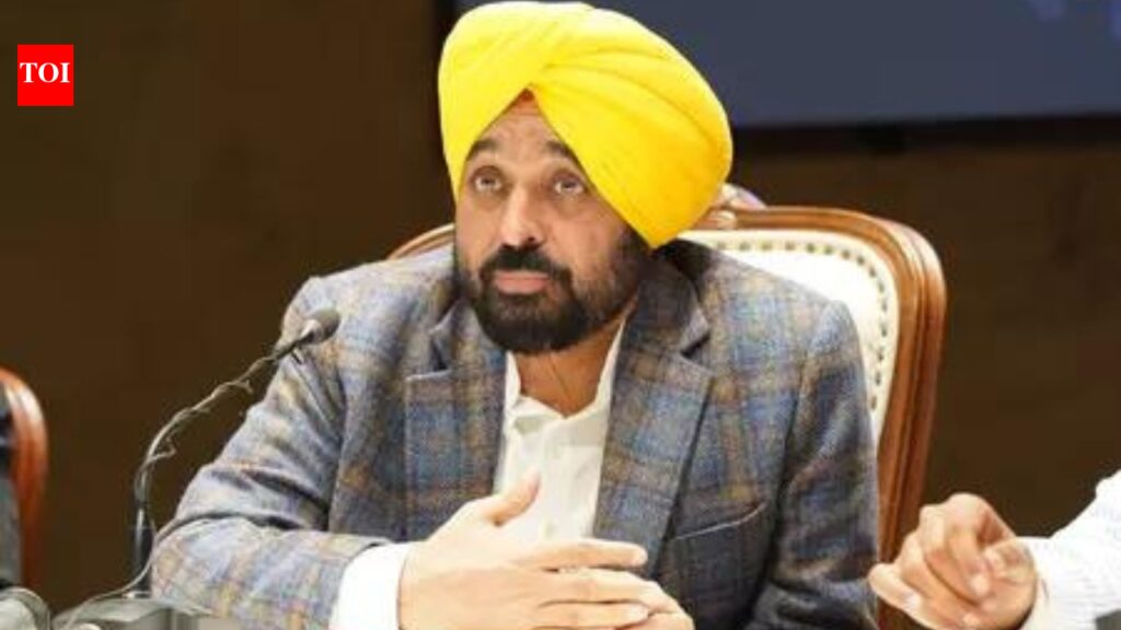 South Korean delegation meets Punjab CM | India News South Korean delegation meets Punjab CM | India News