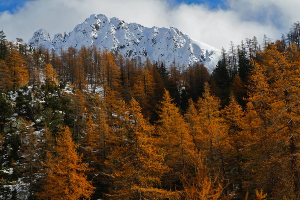 National Park of Mercantour, Nice, France - Photo of the Day