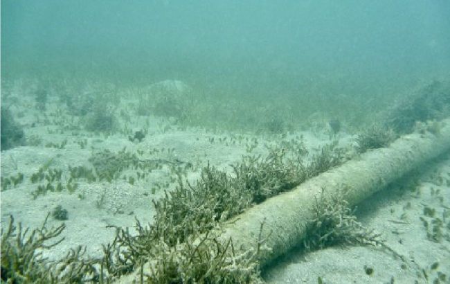 Estonia reports damage to five underwater cables Estonia reports damage to five underwater cables
