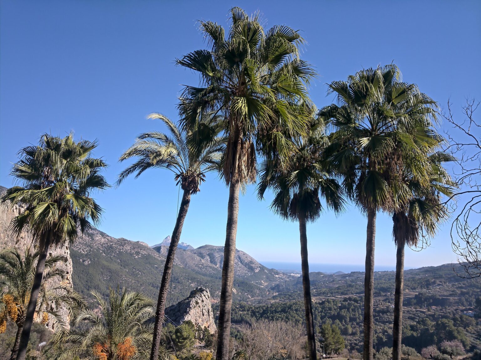 Some Valencia vibes