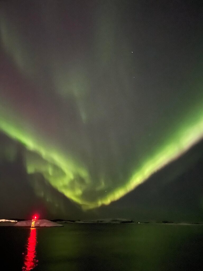 Northern night sky