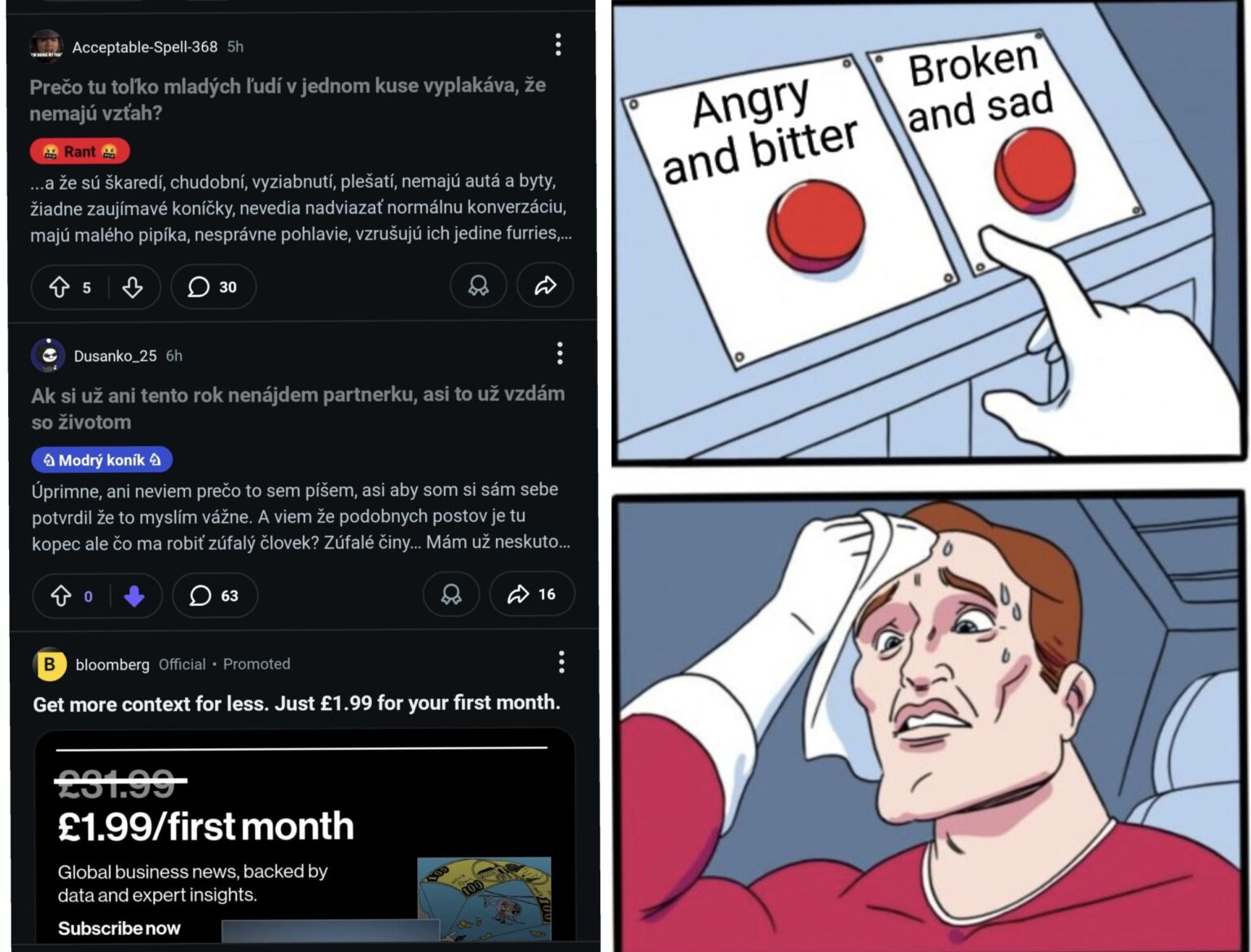 The average male user of Reddit Slovakia 😁