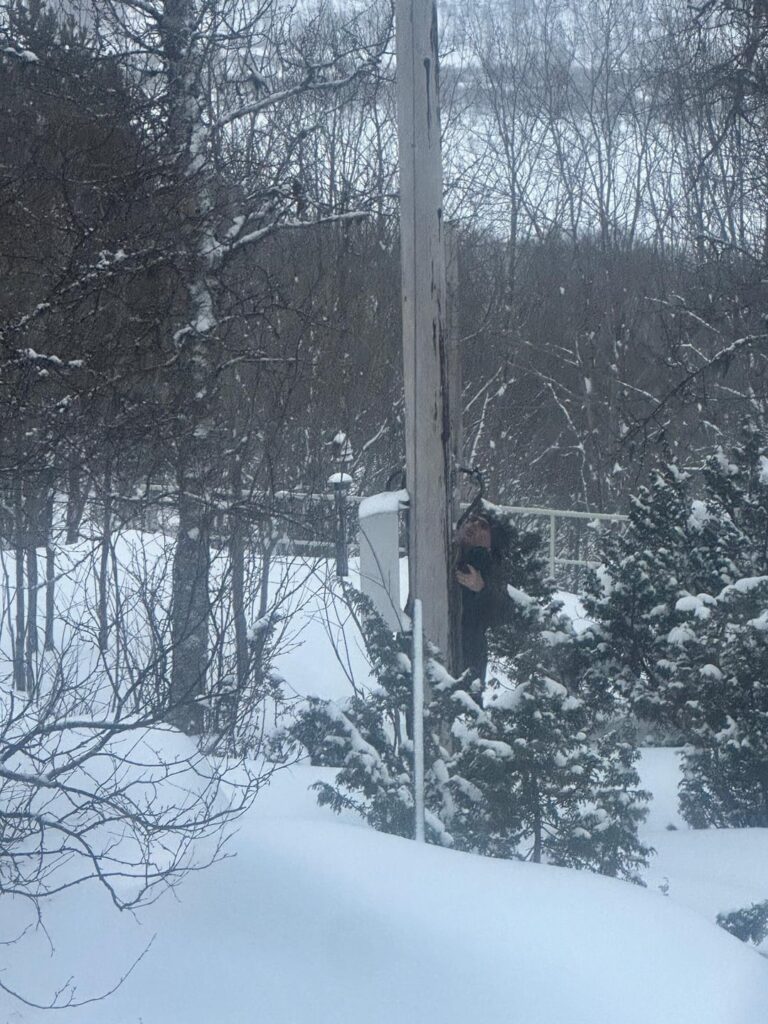 Strange thought perhaps. But.