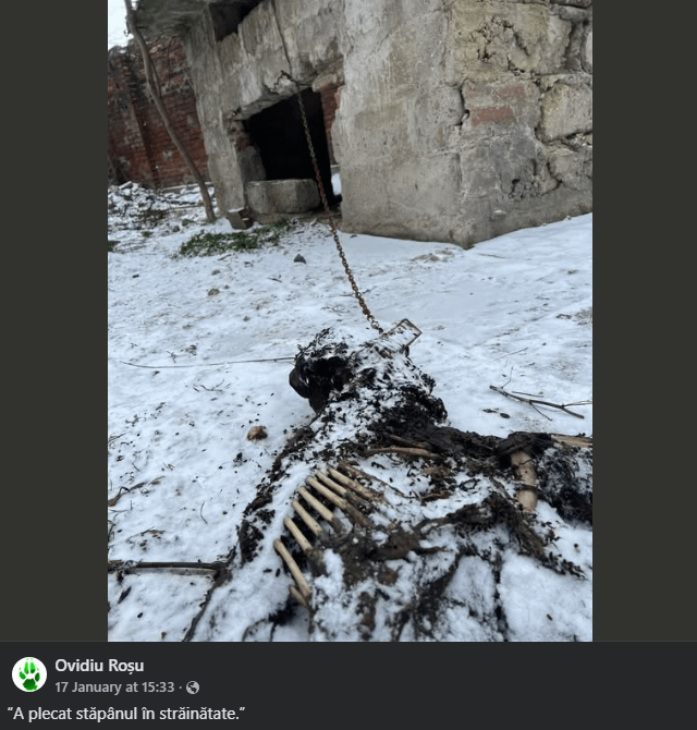 Roman: The dog is like a brother to me. The whole novel: