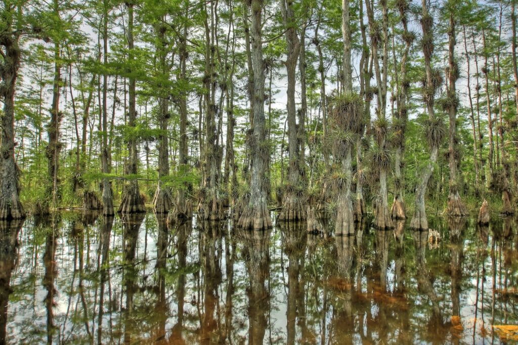 DEP highlights 2025 environmental achievements DEP highlights 2025 environmental achievements