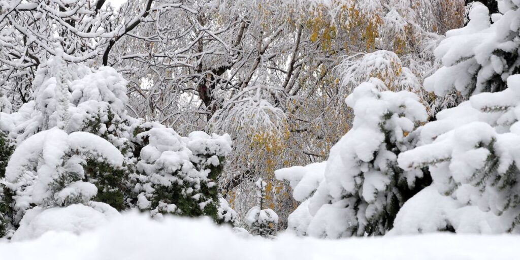 Weather today in North Macedonia