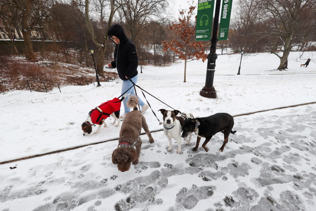 These rock salt alternatives for clearing ice and snow are safer for your pets and yards Winter weather brings snow to New York City