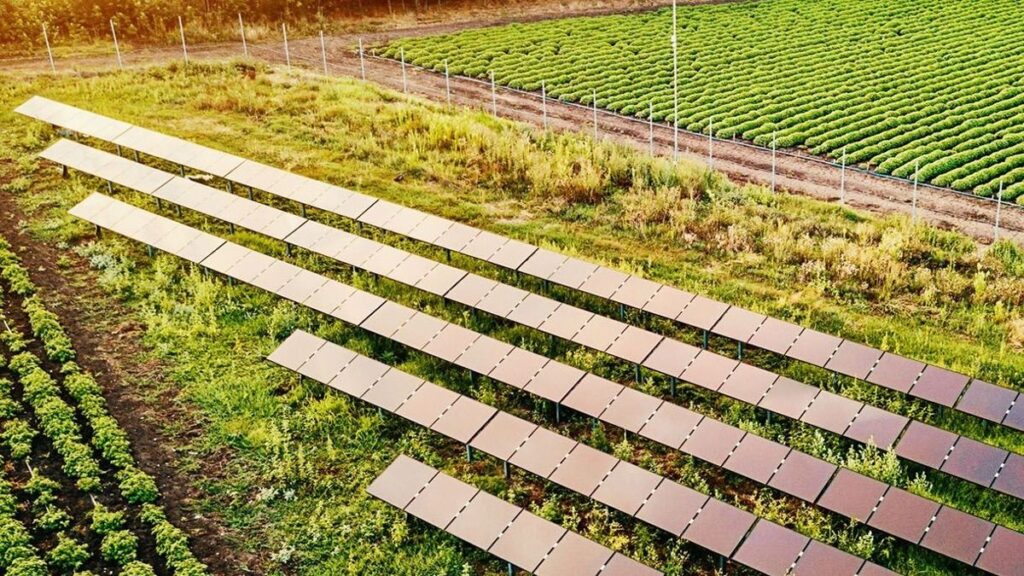 Enfinity Global commissions 33.8 MW AC PV plant in Italy