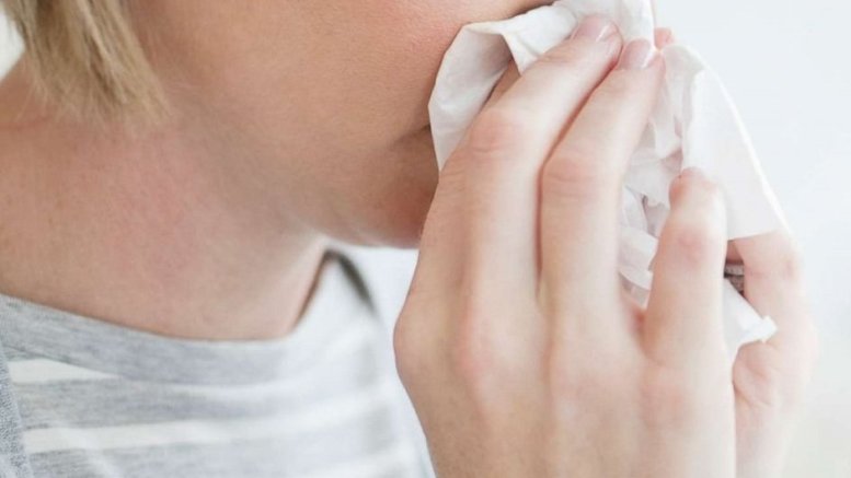 One more district in Bulgaria declares flu epidemic measures