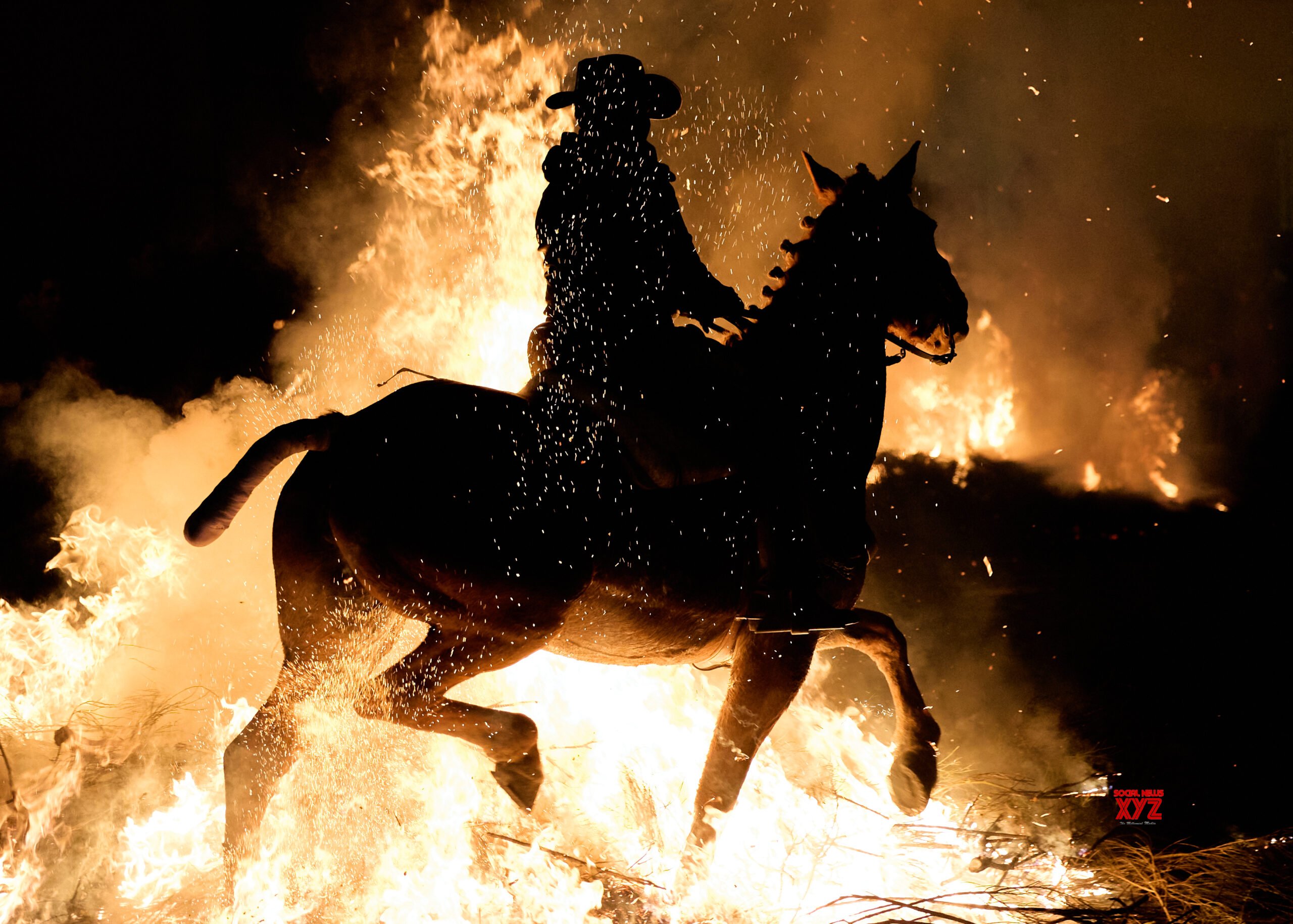 San Antonio Festival Celebrations in Spain #Gallery