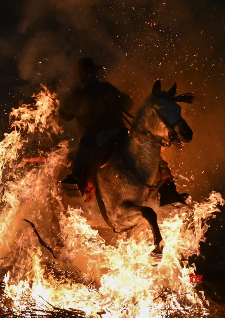 San Antonio Festival Celebrations in Spain #Gallery