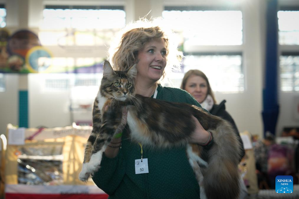 Int'l show of purebred cats held in Warsaw, Poland-Xinhua