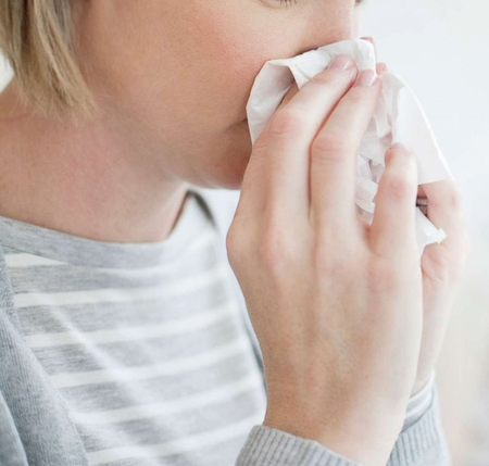 Bulgaria's third region declares flu epidemic