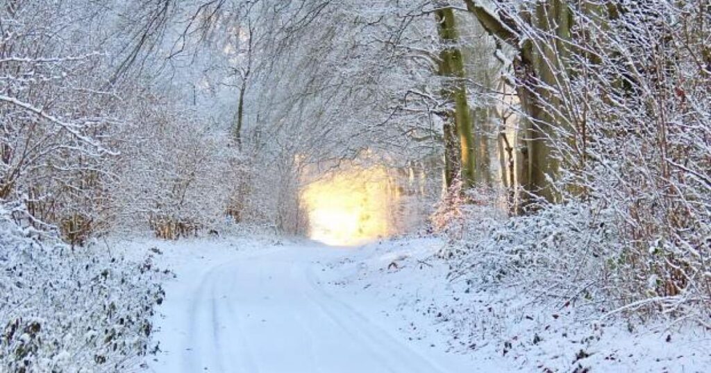 Norfolk colder than Iceland as Marham plummets to -12.5C