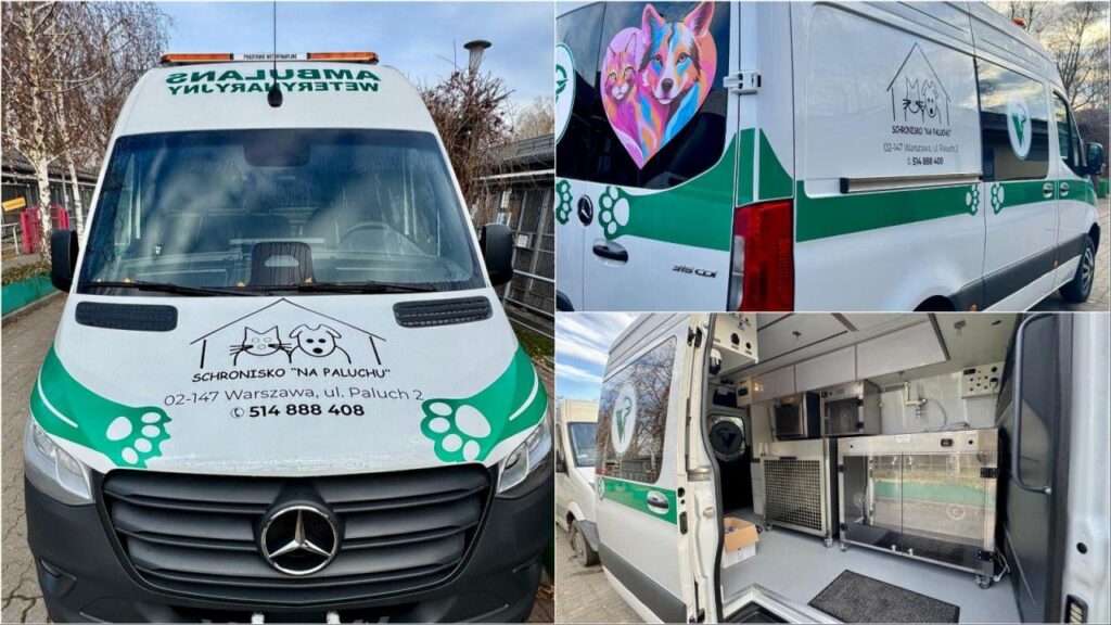 Warsaw rolls out Poland’s first specialized vet ambulance Warsaw rolls out Poland’s first specialized vet ambulance