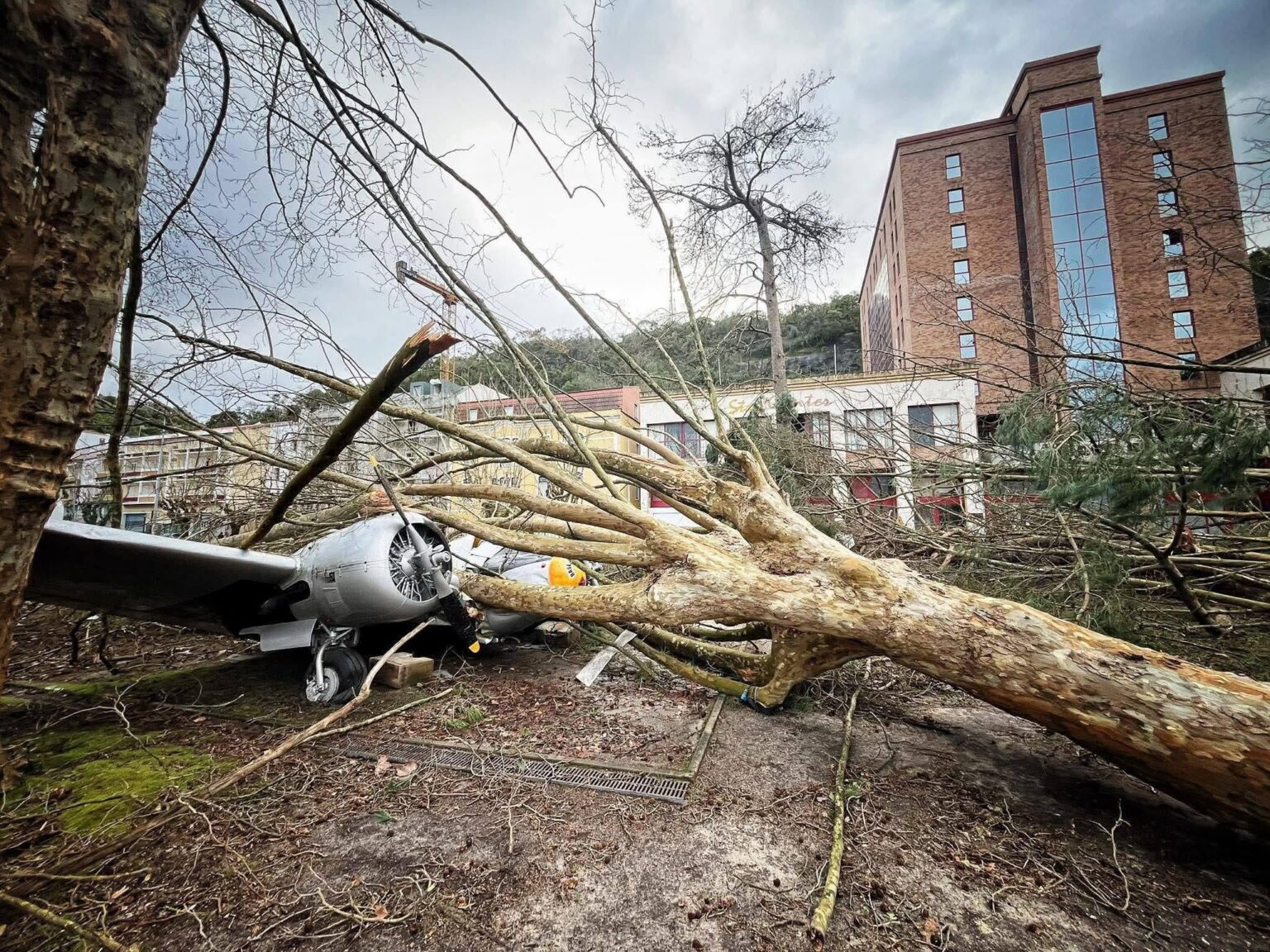 Major symbol of Leiria destroyed 😢