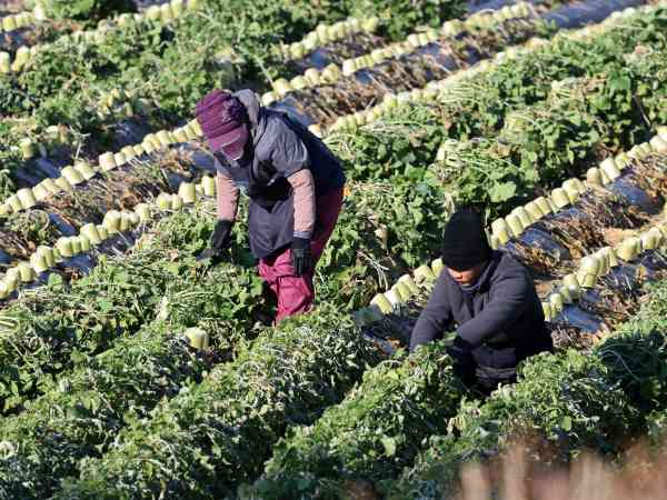 Labor Ministry to Accept Applications for Permission to Hire Foreign Workers on E-9 Visas