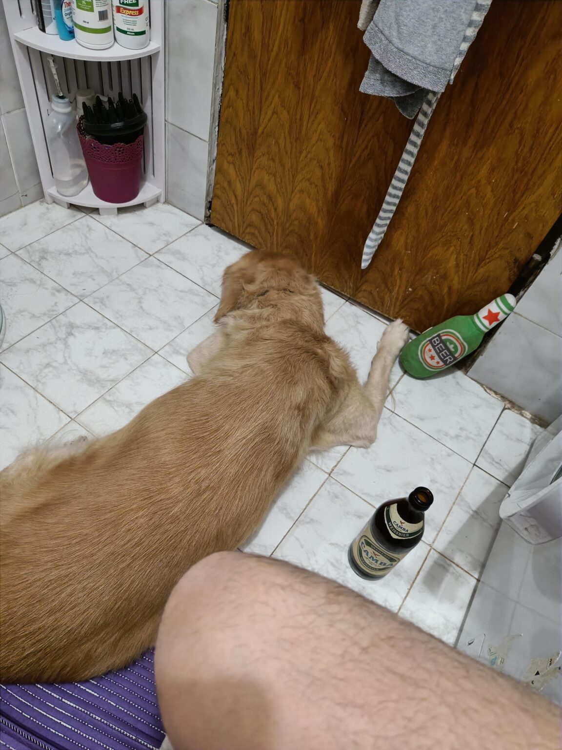 For those of you who are waiting for midnight alone For those of you who are waiting for midnight alone