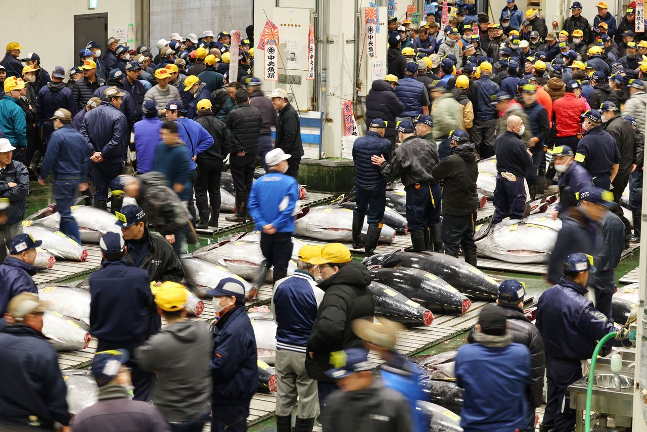 The tuna wholesale area at Toyosu Market, filled with energy during the first auction of 2026. (© Jiji)