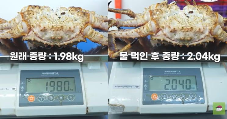 YouTuber Exposes King Crab Weight Fraud, Faces Merchant Backlash