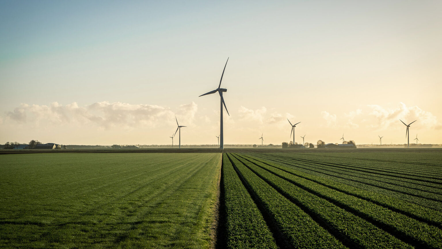 RP Global to build one of Poland's largest wind farms