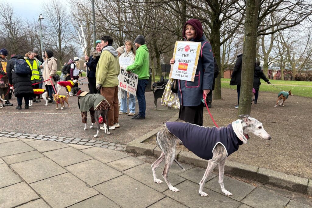 Campaigners march in call to end hunting with dogs in Spain
