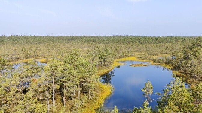 Estonia not joining Finland's initiative against EU nature restoration rules | News