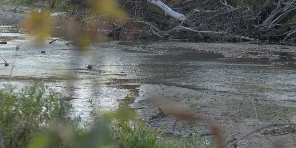 Vermont needs to reduce pesticide use, environmental group says