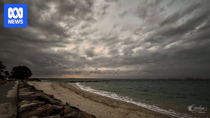 Weekend soaking set for NSW and Top End, while Western Australia eyes next cyclone Weekend soaking set for NSW and Top End, while Western Australia eyes next cyclone