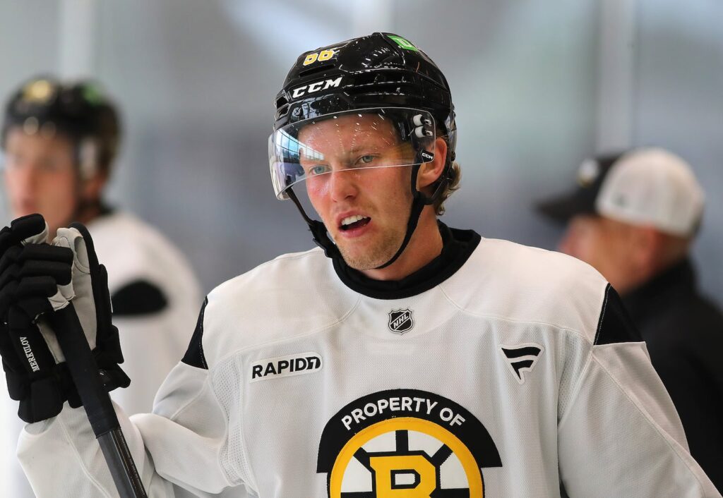 Bruins prospect Dans Locmelis named to Team Latvia for Olympics Dans Locmelis has 12 goals this season for AHL Providence.