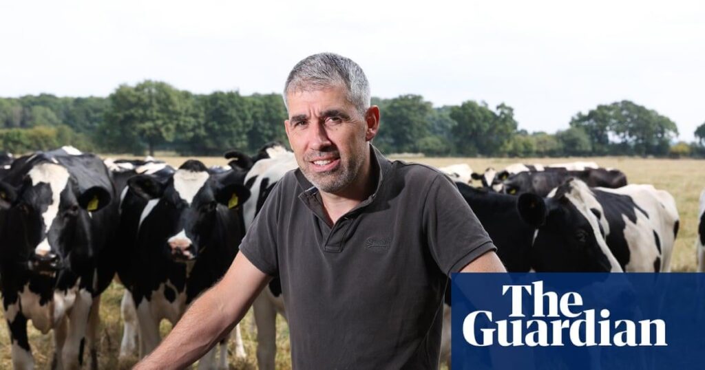‘I’m losing £1,800 a day’: the stark reality for Britain’s dairy farmers