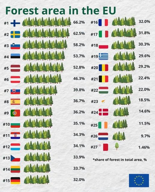 I found the secret to why Finland is the happiest country in the world...