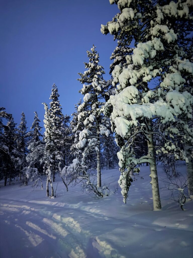 My greatest experience ever