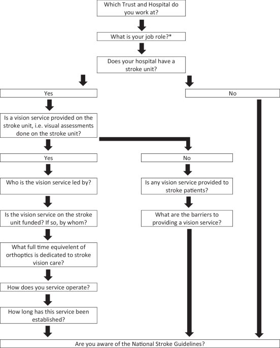 Orthoptic stroke services in the UK and Ireland: how have they evolved?