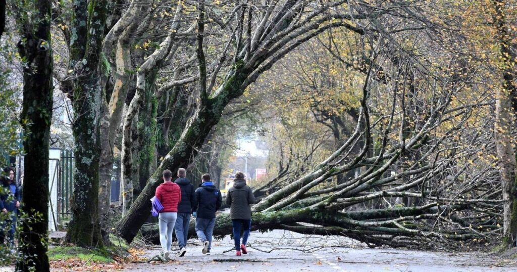 Global warming increasing risk of severe weather events, Met Éireann warns Global warming increasing risk of severe weather events, Met Éireann warns