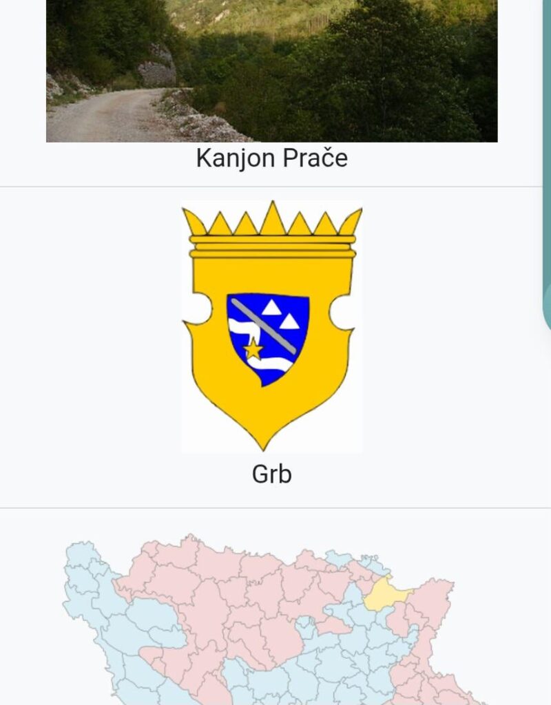 What kind of coat of arms is this? Found on site for Pale (FBIH)
