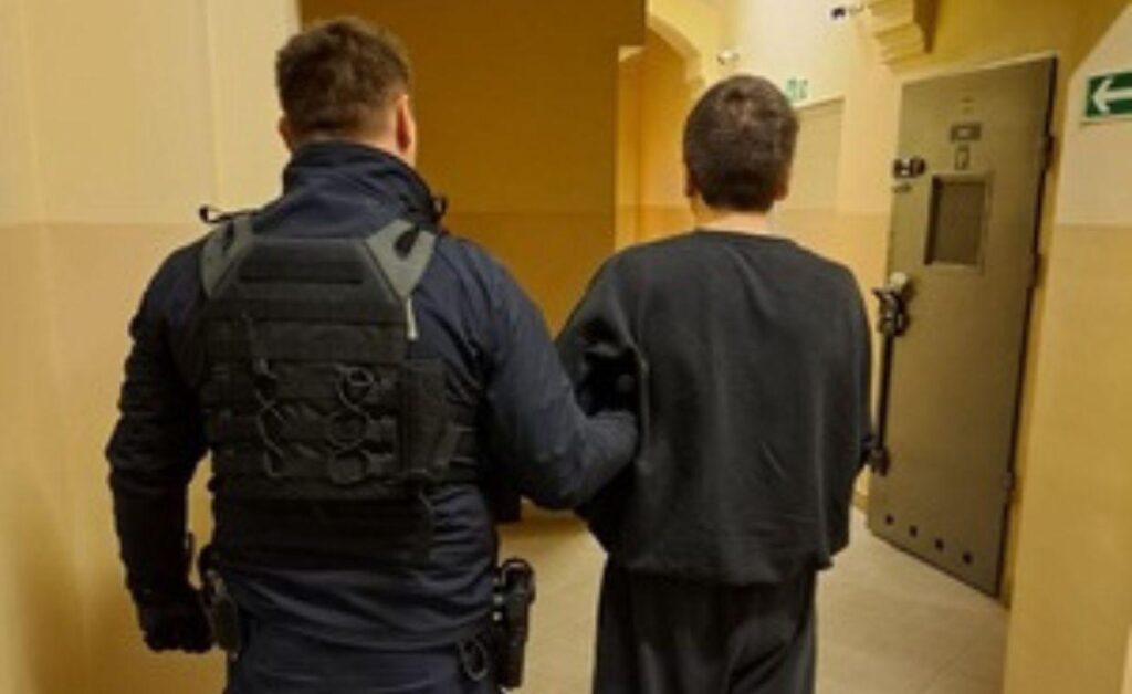 He murdered his mother and her partner. The court discontinued the case of Miłosz T. for insanity; the victims' family refers the case to the Commissioner for Human Rights