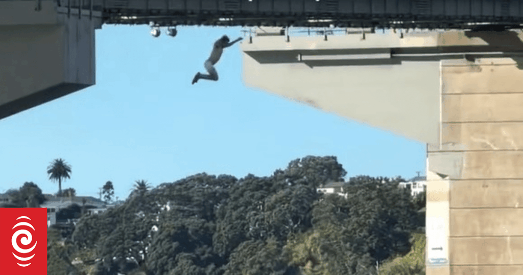 Investigation underway after footage emerges of people diving off Auckland Harbour Bridge Investigation underway after footage emerges of people diving off Auckland Harbour Bridge