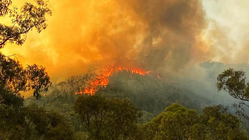 Widespread bushfires ravage Australia, destroy homes and cut power