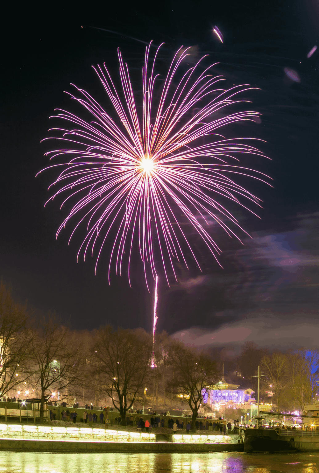 New Years' Dandelion
