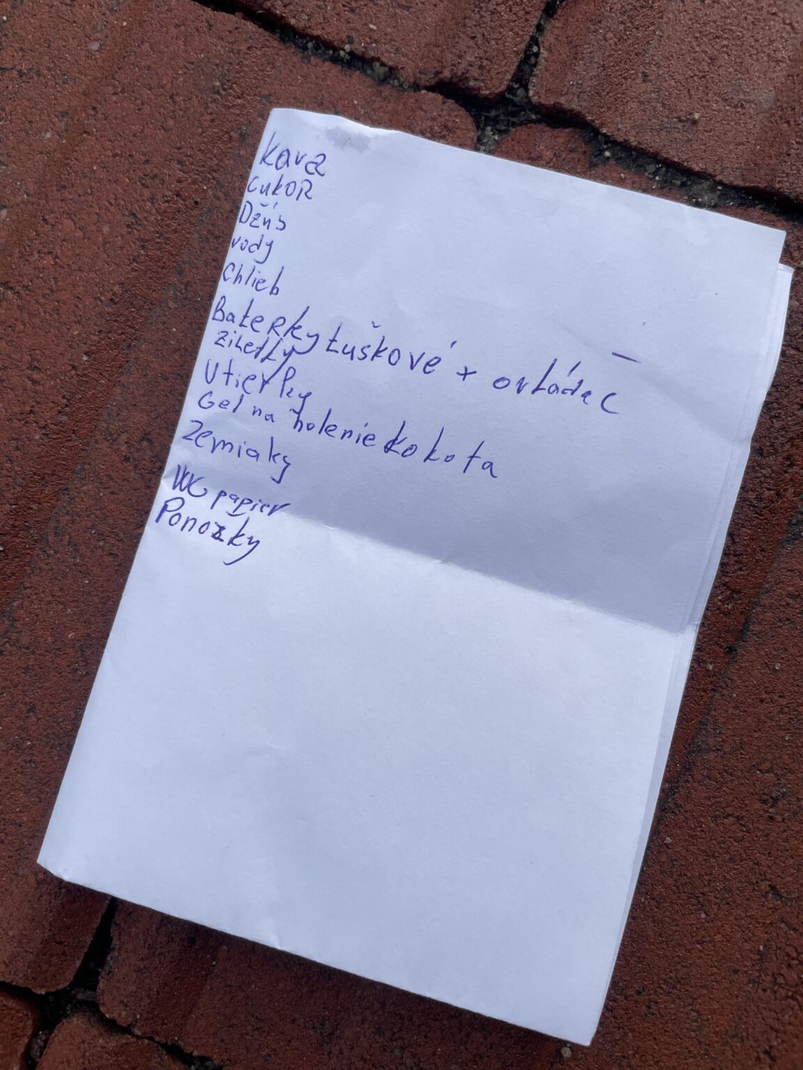 I found the shopping list