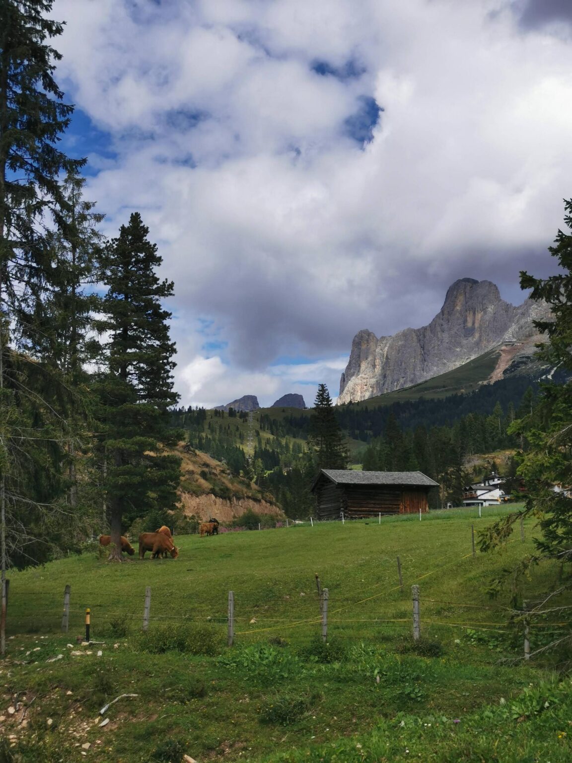 Caffè Italia * 01/01/26