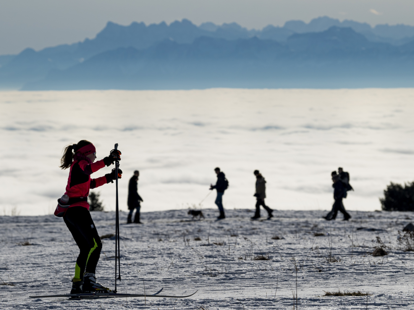 Faced with climatic hazards, cross-country skiing is becoming rarer