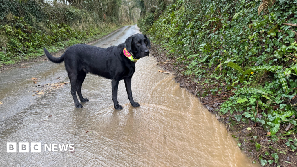 Storm Chandra brings flooding and travel disruption with rain and wind warnings across UK A man up a ladder putting flood defences on the windows or a white house on the Torcross seafront. There is a person holding the ladder at the bottom.